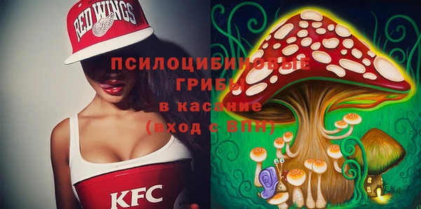 бошки Баксан