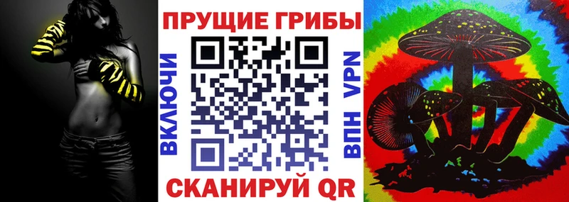 Галлюциногенные грибы MAGIC MUSHROOMS сколько стоит Армавир
