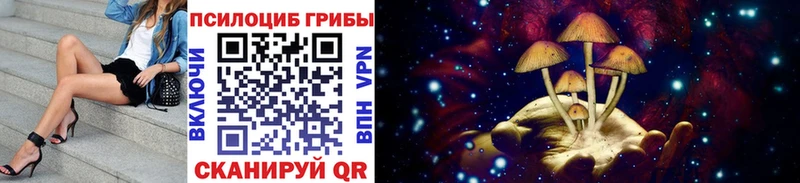Галлюциногенные грибы Psilocybe Армавир