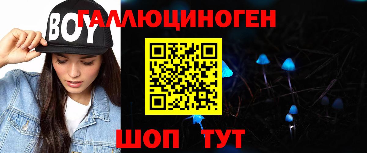 Псилоцибиновые грибы MAGIC MUSHROOMS  Вход с VPN  сколько стоит  Армавир 